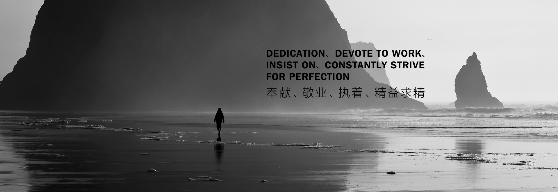 浙江朗威電器科技有限公司 浙江朗威電器科技有限公司